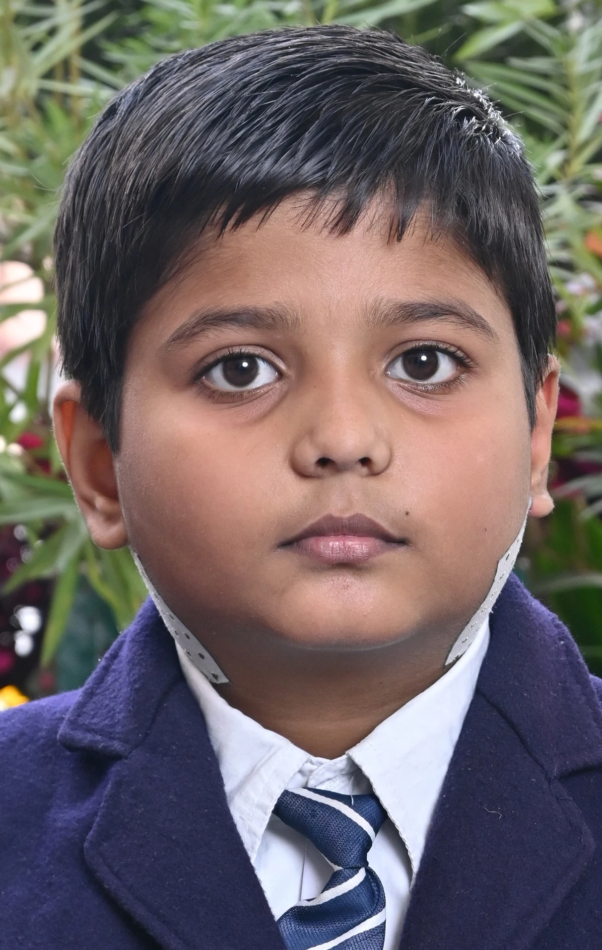 OM  JAISWAL