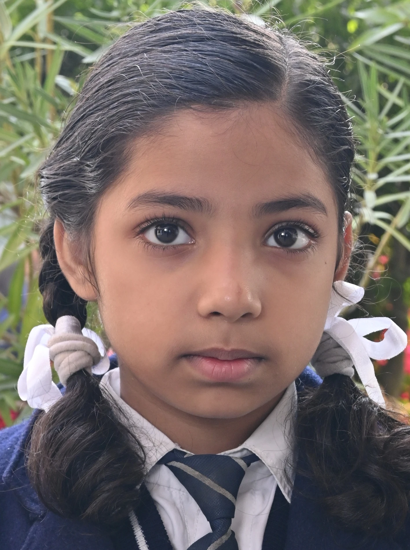 YASHI  AGARWAL