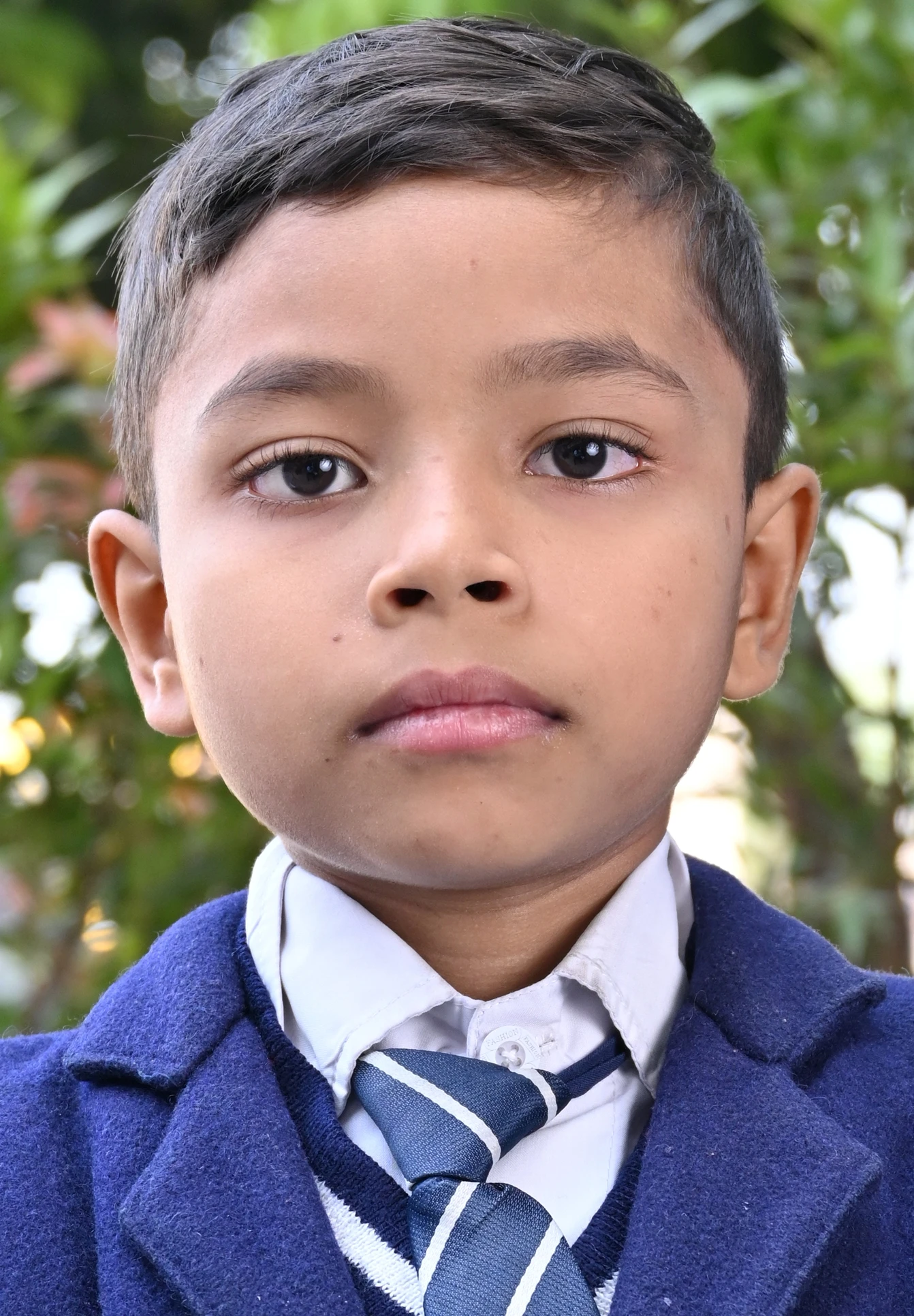 SHAMS ARIF