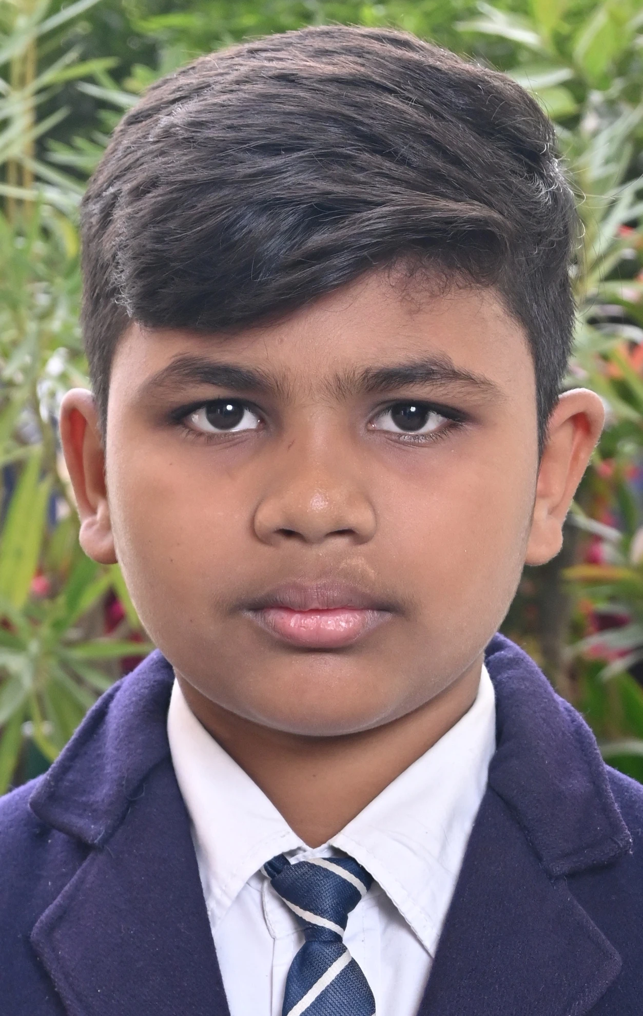 SHAMS  TARIQUE